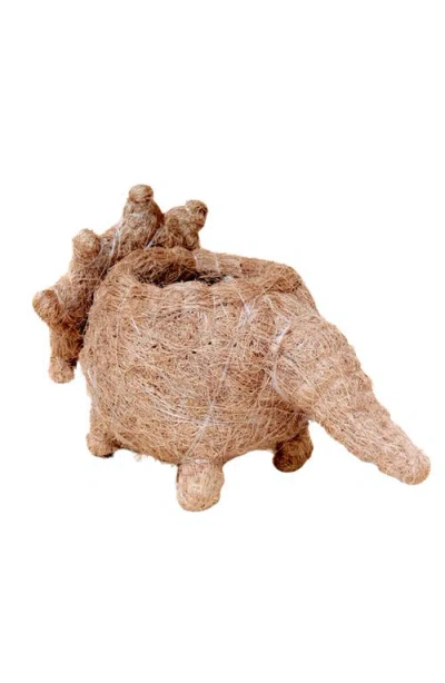 Likha Dinosaur Coco Coir Planters In Brown