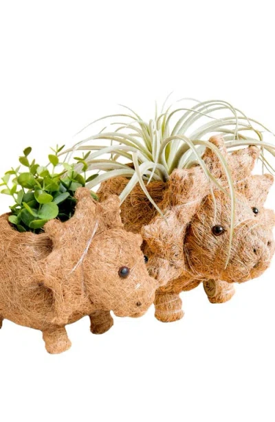 Likha Dinosaur Coco Coir Planters In Brown