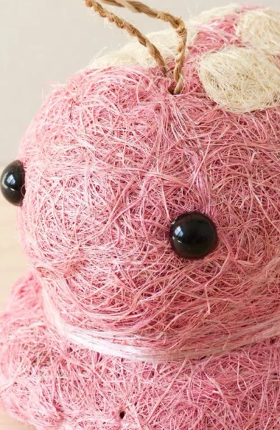 Likha Coco Coir Hanging Planter For Air Plants In Pink