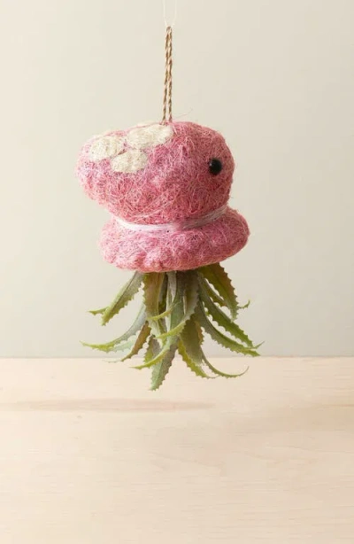 Likha Coco Coir Hanging Planter For Air Plants In Pink