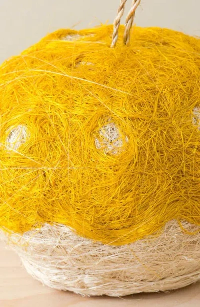 Likha Coco Coir Hanging Planter For Air Plants In Yellow