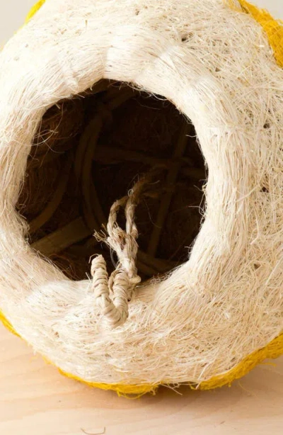 Likha Coco Coir Hanging Planter For Air Plants In Yellow