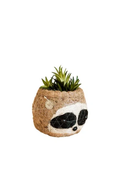 Likha Animal Head Coco Coir Planters In Brown