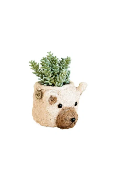 Likha Animal Head Coco Coir Planters In Neutral