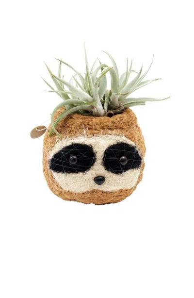 Likha Animal Head Coco Coir Planters In Brown