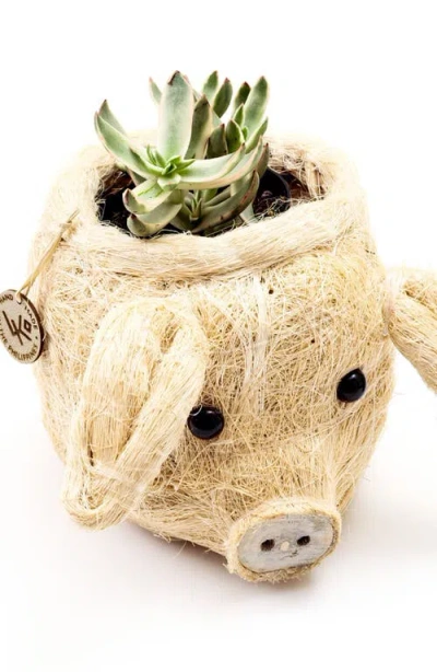 Likha Animal Head Coco Coir Planters In Neutral