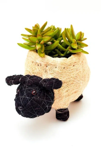 Likha Farm Animal Coco Coir Planters In Neutral