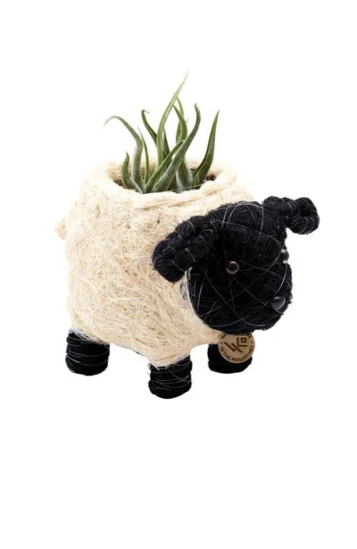 Likha Farm Animal Coco Coir Planters In Neutral