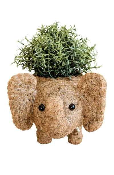 Likha Safari Animal Coco Coir Planters In Brown
