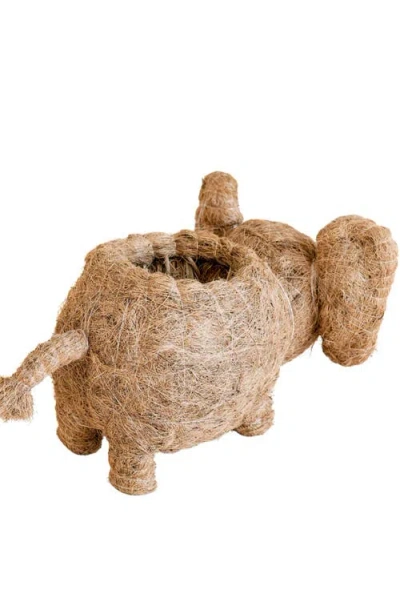 Likha Safari Animal Coco Coir Planters In Brown