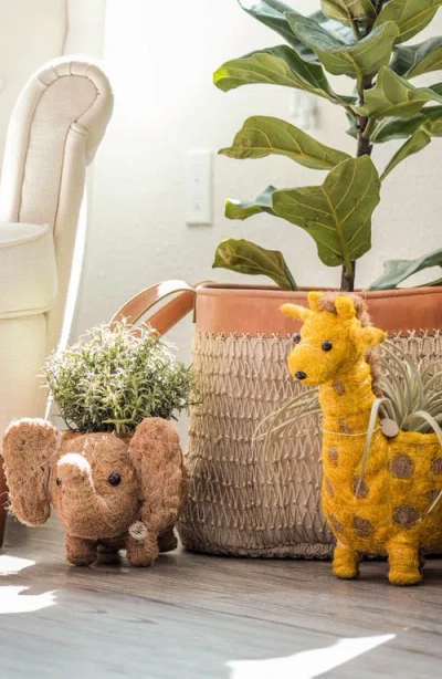 Likha Safari Animal Coco Coir Planters In Brown