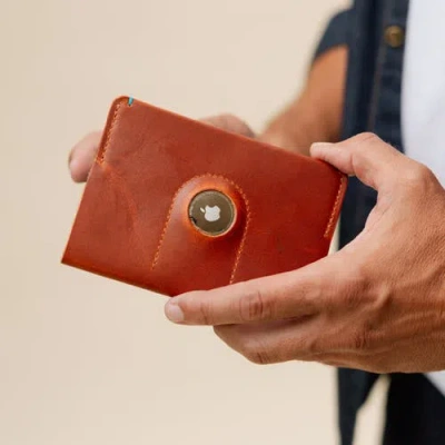 Bluebonnet The Companion Passport Holder With Airtag Pocket In Brown