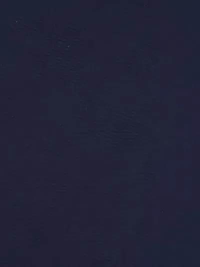 Canali Pointed-tip Tie In Blue