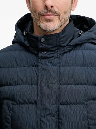 Geox Leitan Hooded Padded Jacket In Green