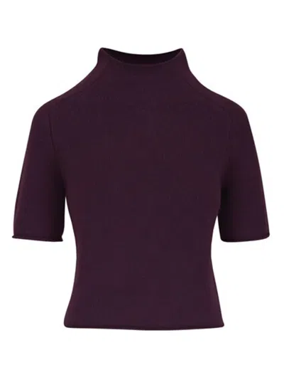 Lisa Yang Funnel-neck Short-sleeve Sweater In Purple