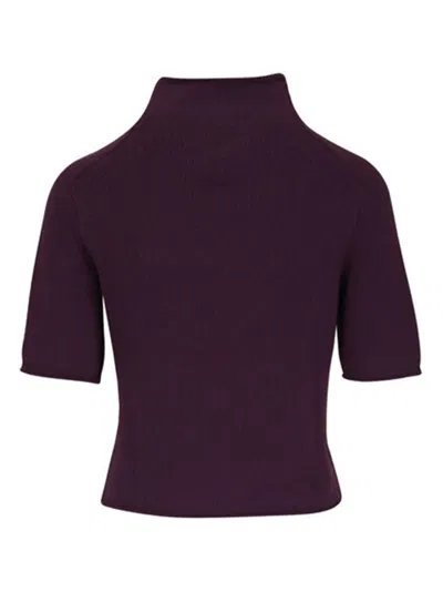 Lisa Yang Funnel-neck Short-sleeve Sweater In Purple