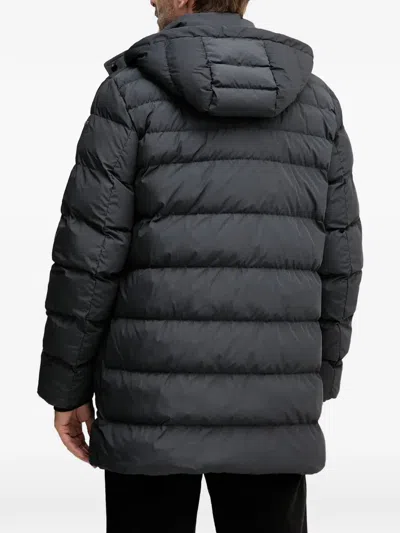Geox Leitan Hooded Padded Jacket In Gray