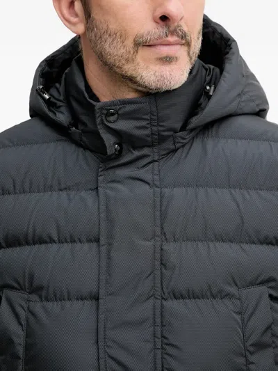 Geox Leitan Hooded Padded Jacket In Gray
