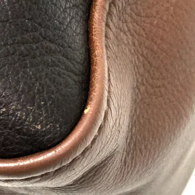 Pre-owned Fendi Chameleon Brown Leather Handbag Shoulder Bag ()