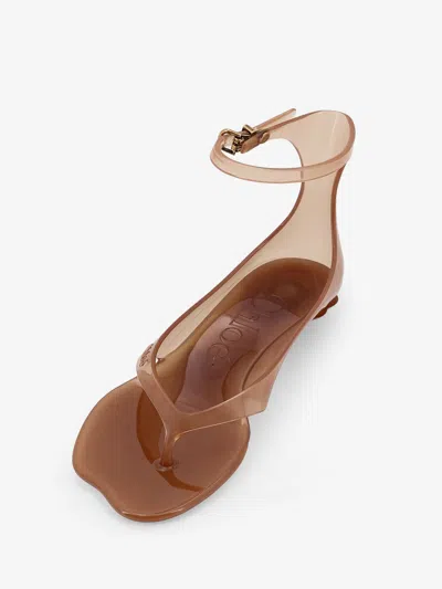 Chloé Chloe Women Biscuit Tpu Chloe Jelly Thong Sandals In Brown