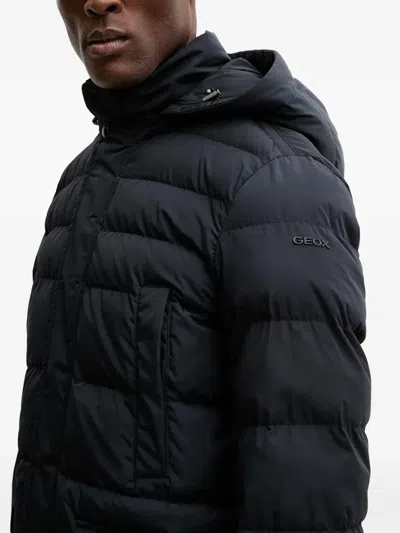 Geox Leitan Hooded Padded Jacket In Blue