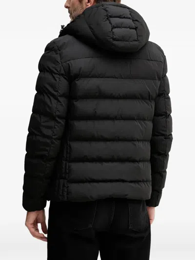 Geox Snake Hooded Zip-up Jacket In Multi