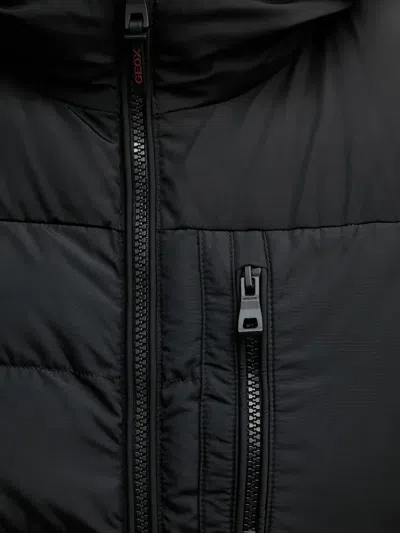 Geox Snake Hooded Zip-up Jacket In Multi