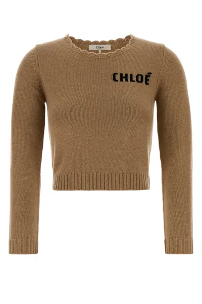 Chloé Camel Wool Blend Sweater In Brown