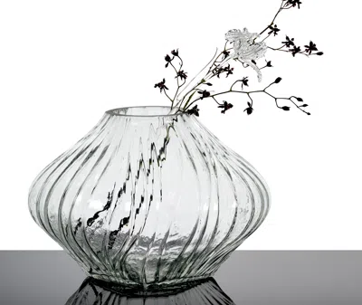 Serax Josephine Vase Aus Mattiertem Glas In Transparent