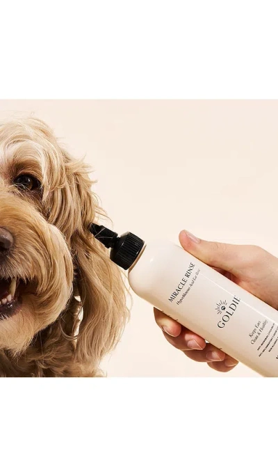 Goldie Dog Essentials Miracle Rinse