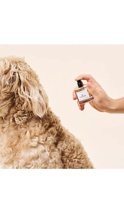 Goldie Dog Essentials Youth Elixir Coat Conditioning Fragrance