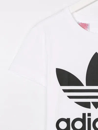 Adidas Originals Printed T-shirt In White