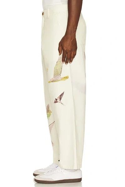 Students Golf Daybreak Pants In Brown