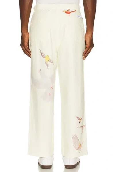 Students Golf Daybreak Pants In Brown