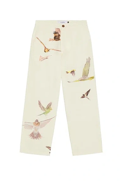 Students Golf Daybreak Pants In Brown