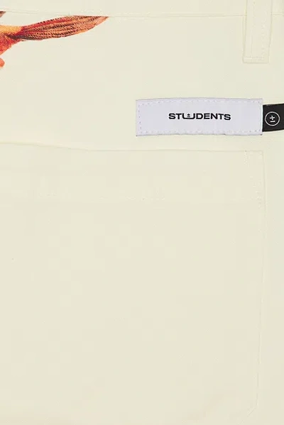 Students Golf Daybreak Pants In Brown