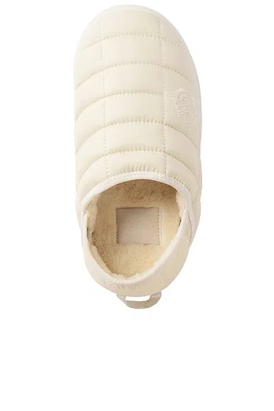 The North Face X Skims Thermoball Traction V Mule In Neutral