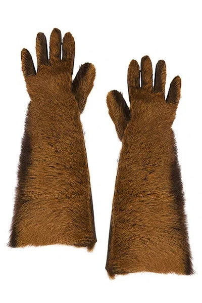 Magda Butrym Leather Gloves In Brown