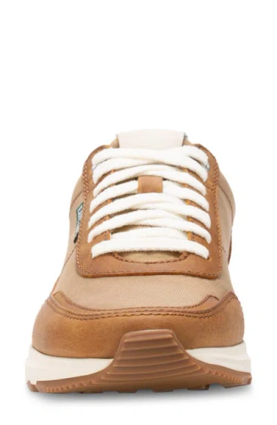 Eastland Leap Jogger Sneaker In Brown