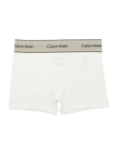 Calvin Klein Heritage Cotton Stretch Boxer Briefs In Animal Print