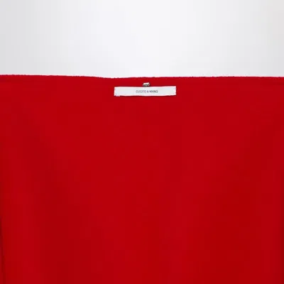 Sportmax Red Wool Scarf With Fringes In Brown