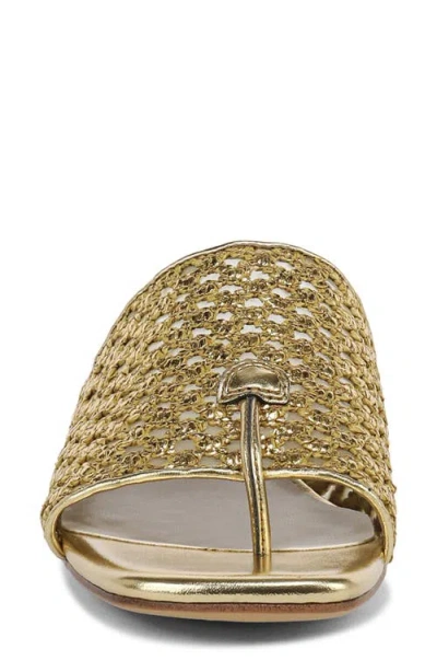 Franco Sarto Loran Sandal In Gold