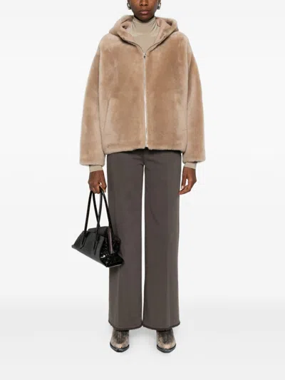 Via Masini 80 Dark Brown Cotton Wide-leg Trousers In Brown