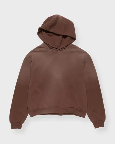 Acne Studios Hoodie Logo In Brown