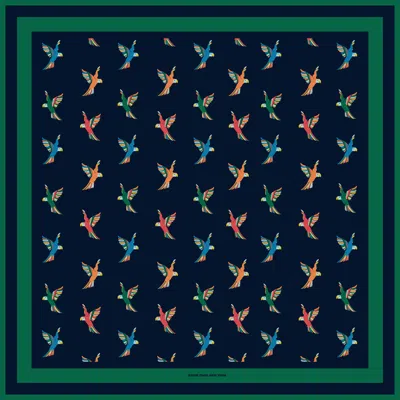 Jessie Zhao New York Freedom Wings Double Sided Silk Scarf In Blue