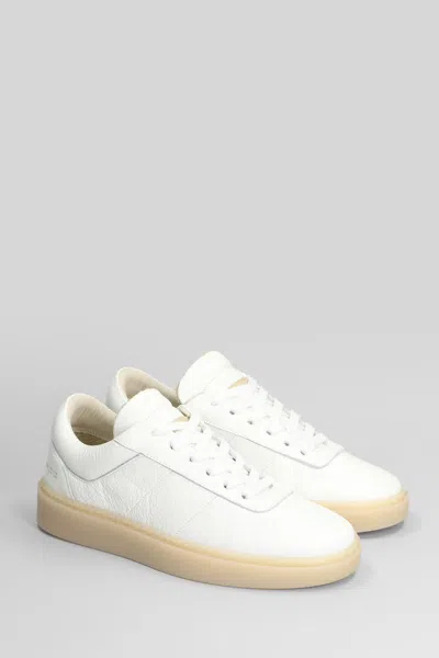 Low Brand Fly Sneakers In Multi