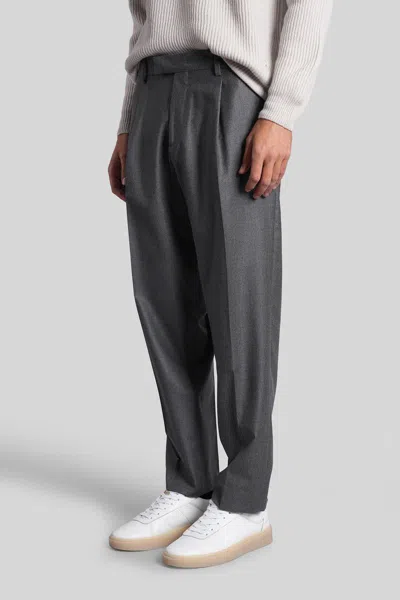 Grayed Albert Pants In Gray