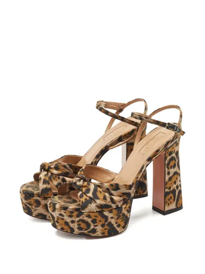 Pre-owned Aquazzura Baba Plateau Jacquard Platform Sandals In Brown