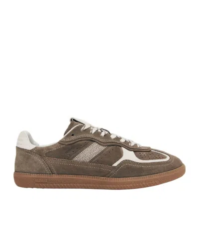 Alohas Tb.490 Rife Taupe Leather Sneakers Shoes In Brown