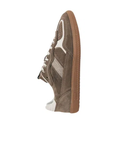 Alohas Tb.490 Rife Taupe Leather Sneakers Shoes In Brown